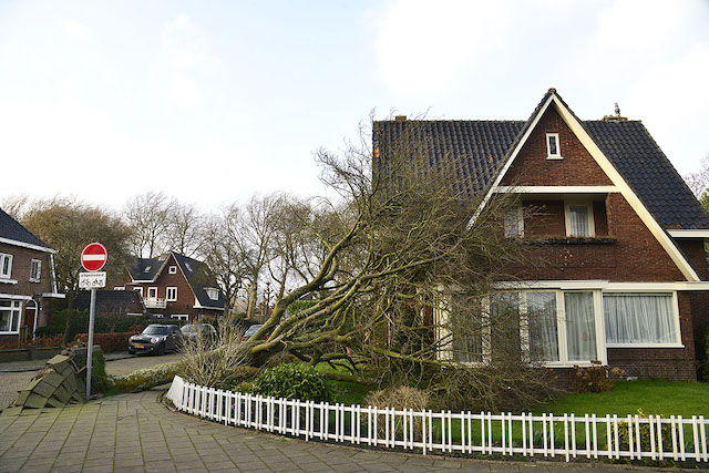 2022/44/20220218-16u49 GB 001 Stormschade Kwartelstraat.jpg